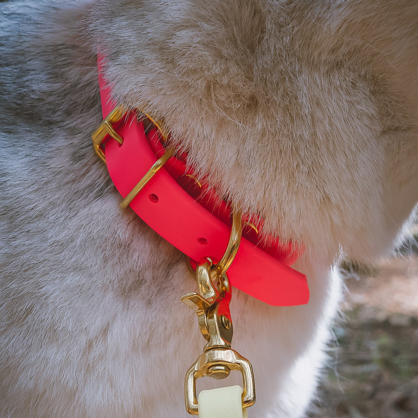 Classic BioThane® Collar