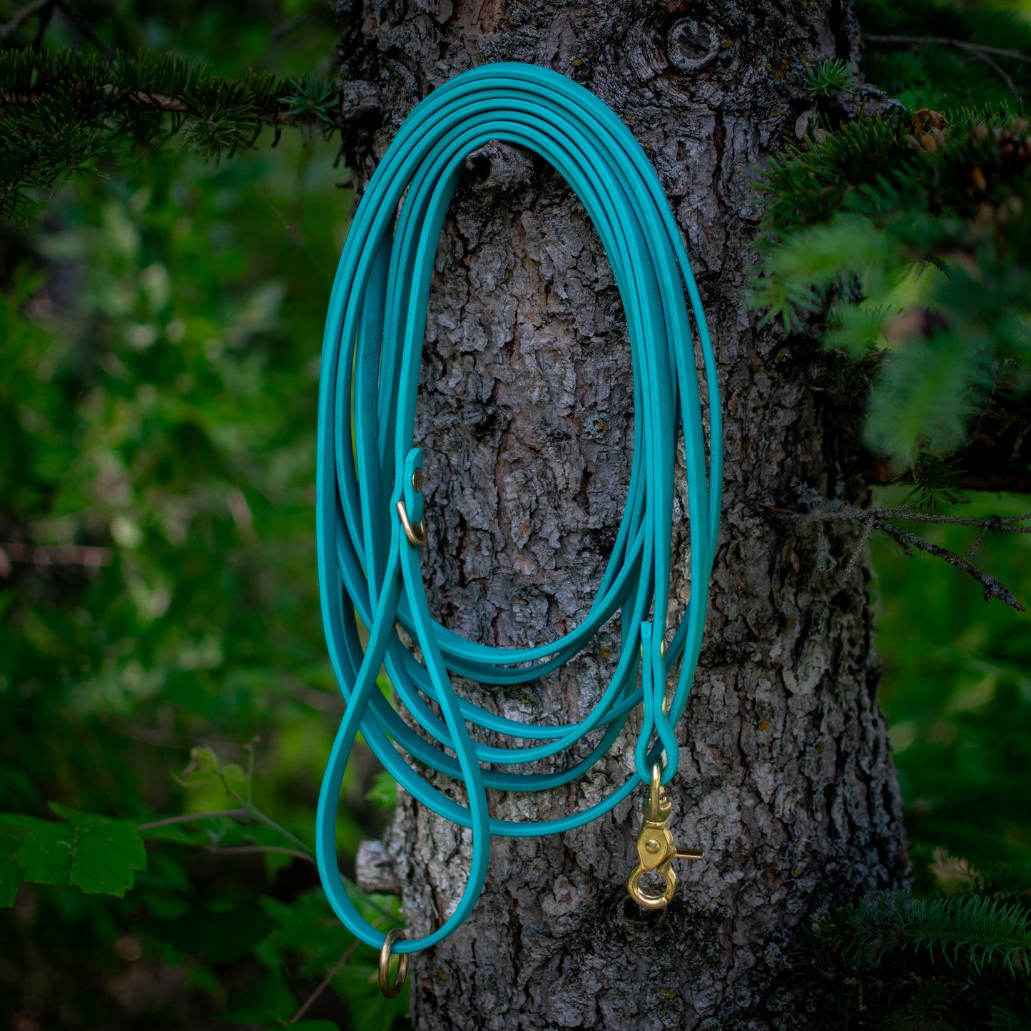 BioThane® Long Lead