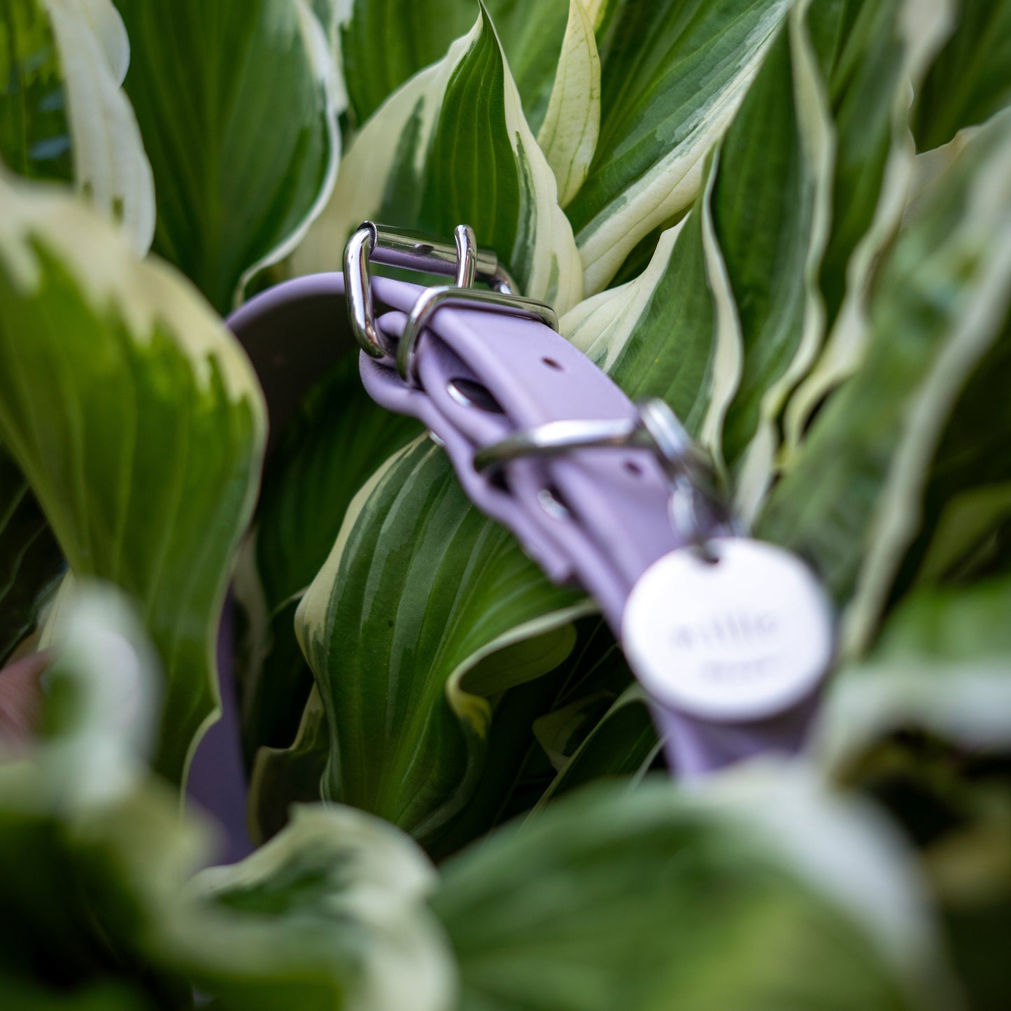 Classic BioThane® Collar