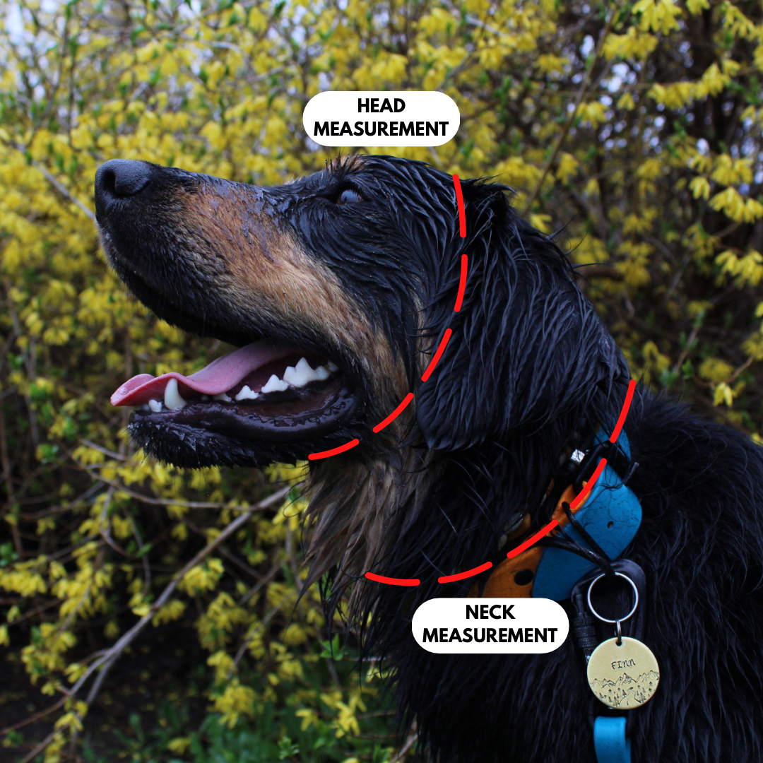 BioThane® Slip Collar