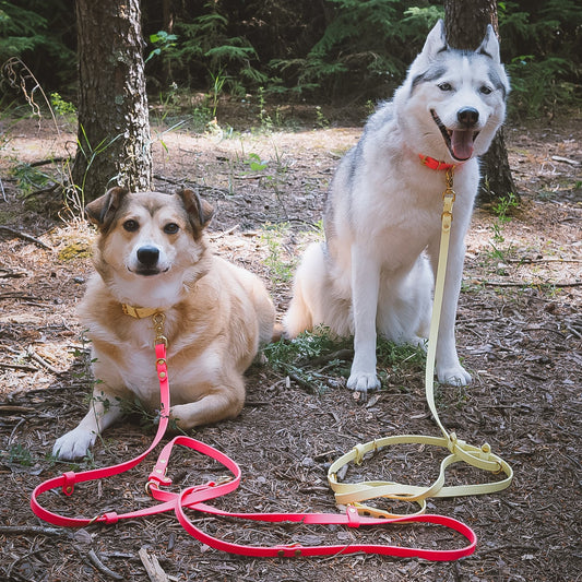 BioThane® Multi-lead (Hands-free Leash)