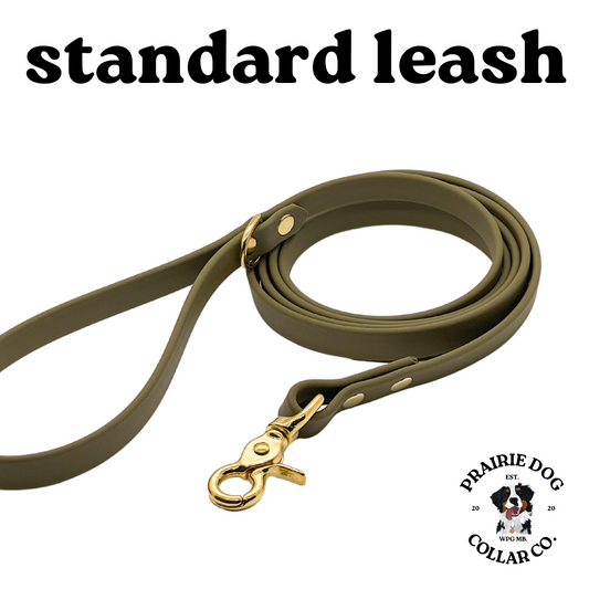 3/4" Standard BioThane® Leash - 4 ft