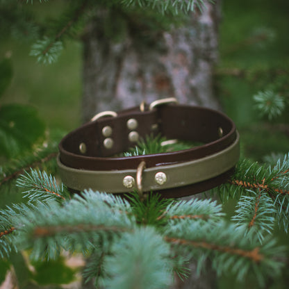 Layered BioThane® Collar