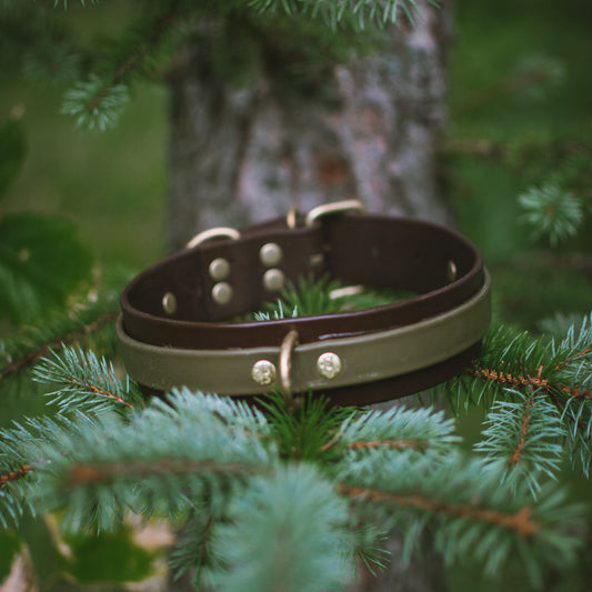 Layered BioThane® Collar