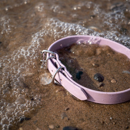 Classic BioThane® Collar