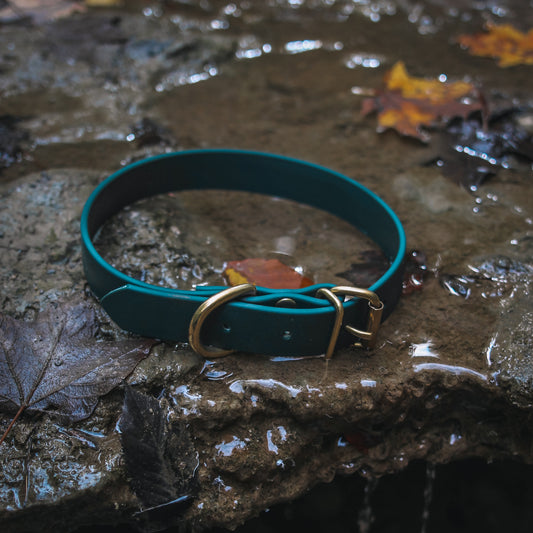 Classic BioThane® Collar