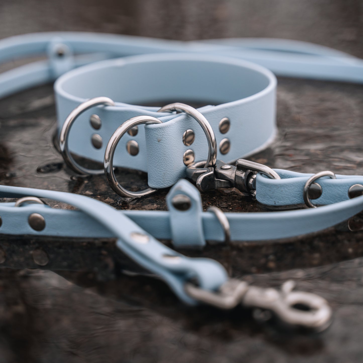 BioThane® Slip Collar