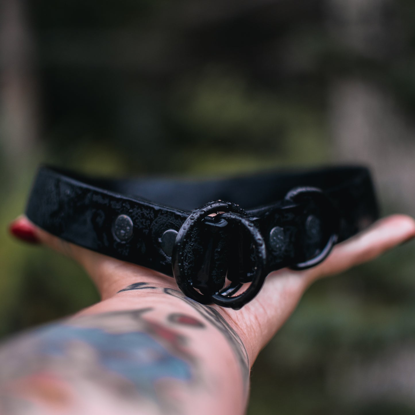 BioThane® Slip Collar