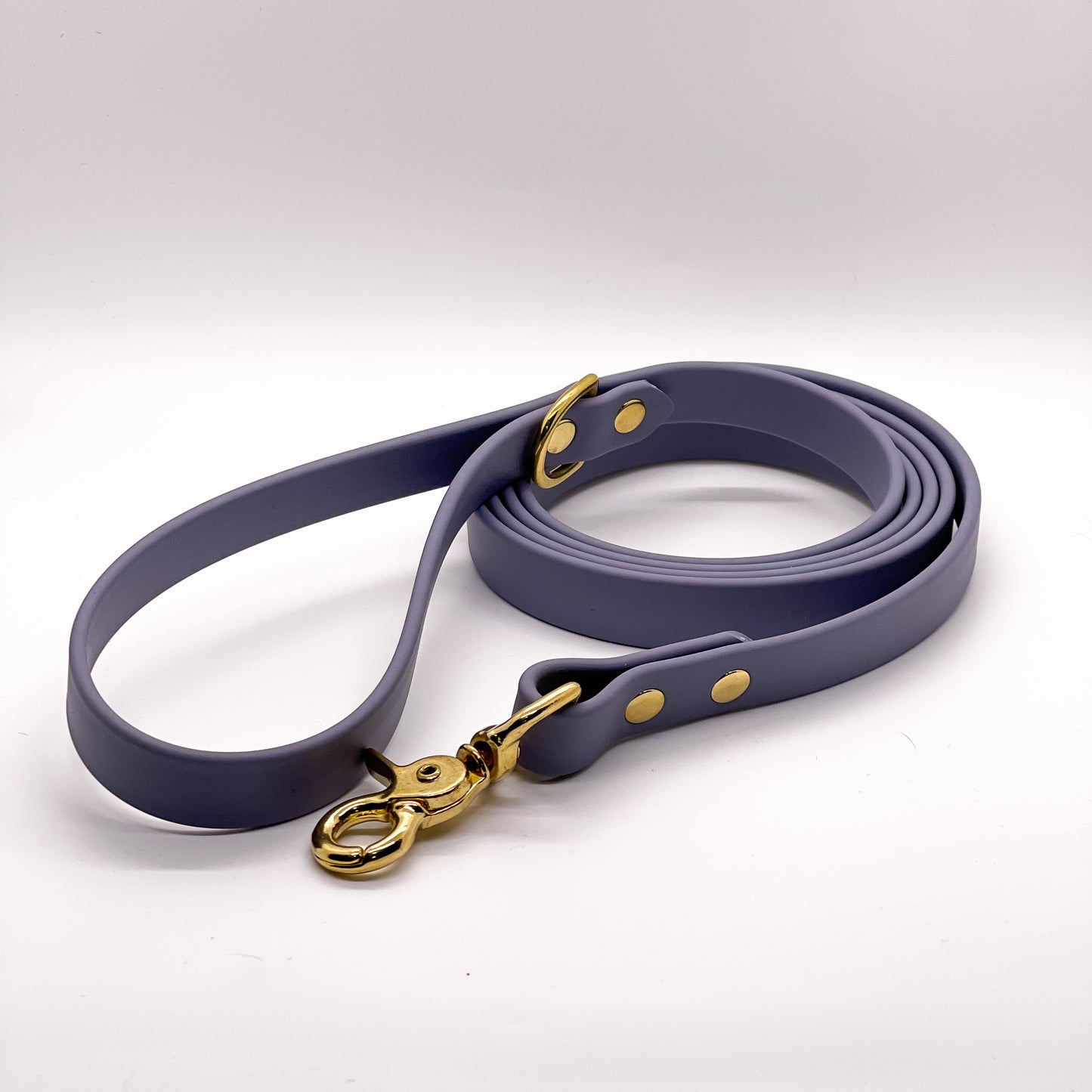 Standard BioThane® Leash