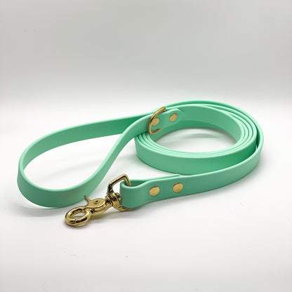 Standard BioThane® Leash