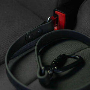 BioThane® Car Tether